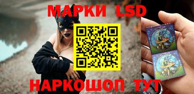 гидропоника Краснодар